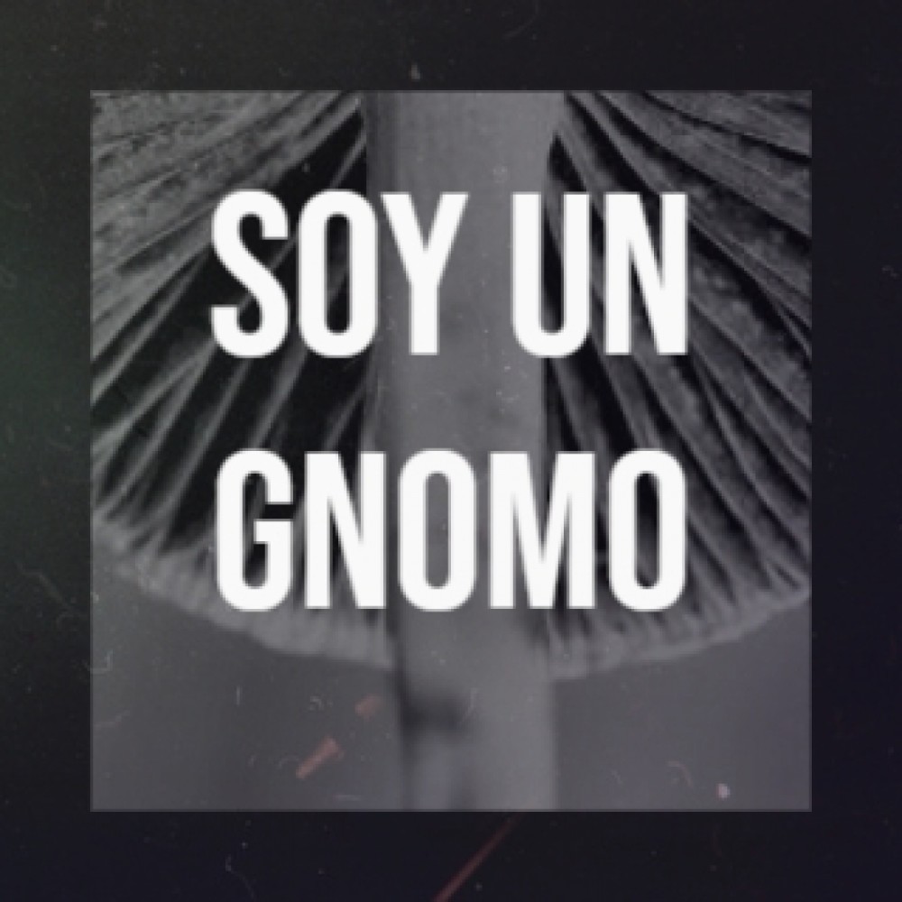 Soy Un Gnomo