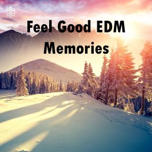 Album Feel Good EDM Memories from Various