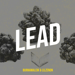 Lead (Explicit) dari BurnaMaleik