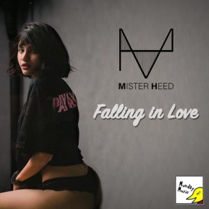 ดาวน์โหลดและฟังเพลง Falling In Love พร้อมเนื้อเพลงจาก MR.HEED