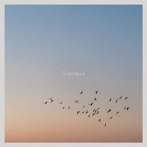 Album Tranquil oleh Meditation and Sounds