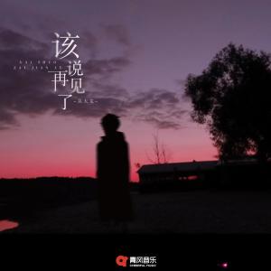 收聽吴大文的該說再見了歌詞歌曲