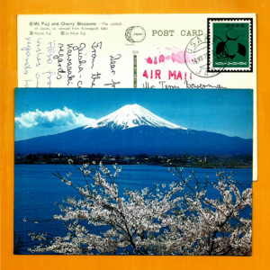 Album Miss Oki from Life of Puffin