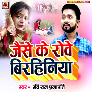 收听Ravi Raj Prajapati的Jaise Ke Rove Birahiniya歌词歌曲