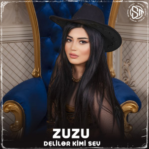 Listen to Delilər Kimi Sev song with lyrics from Zu Zu