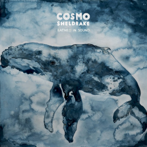 Album Bathed In Sound from Cosmo Sheldrake