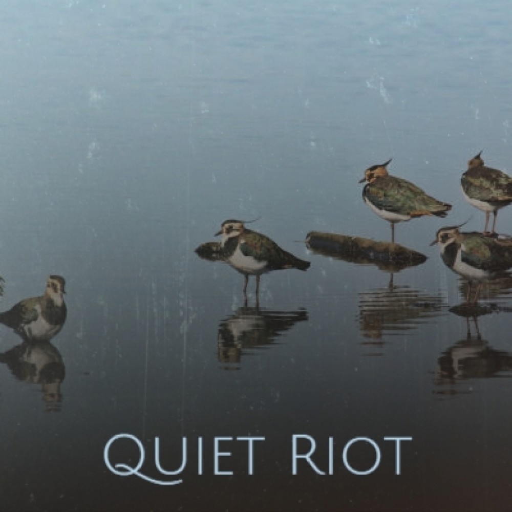 Quiet Riot