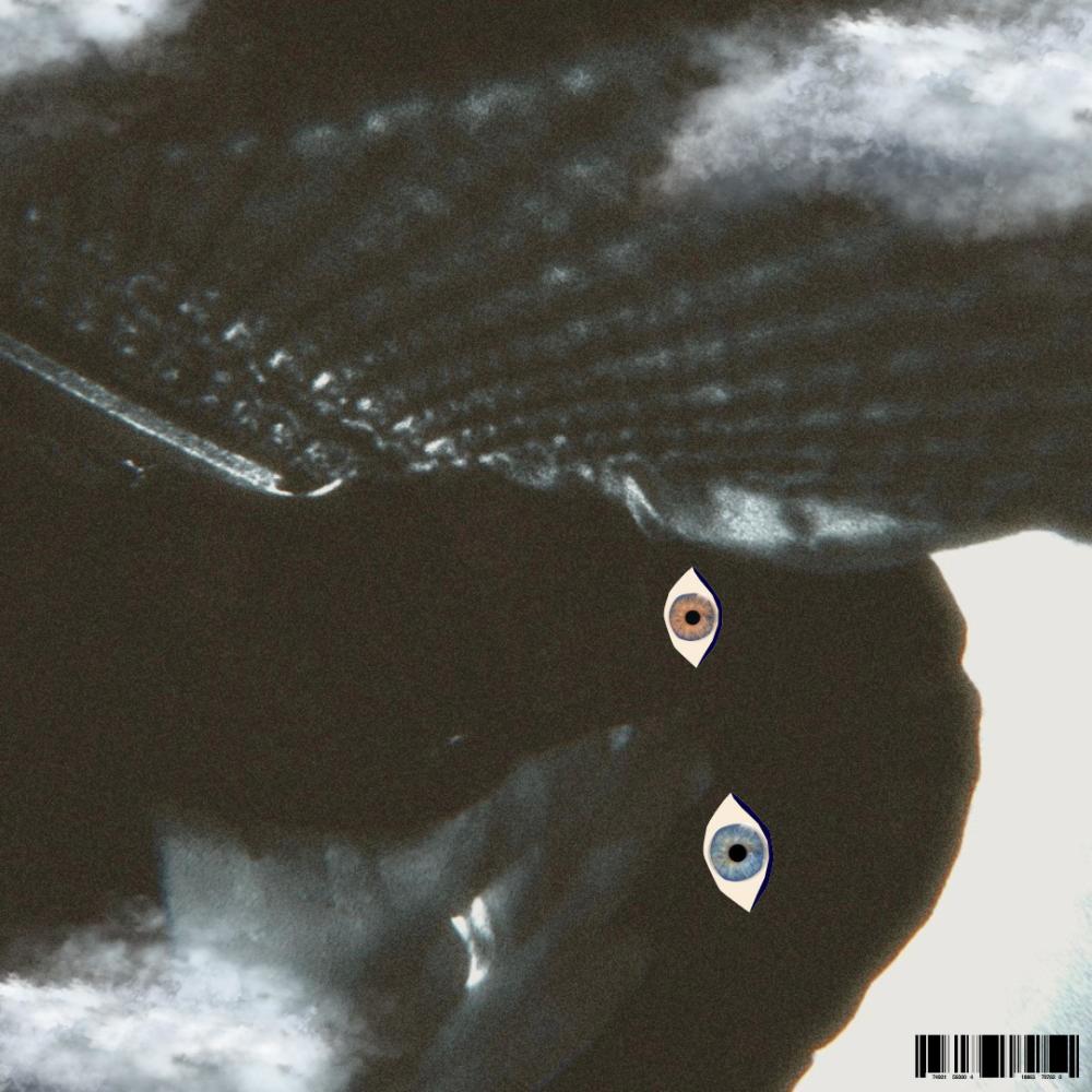 FLY (feat. Ghowste) (Explicit)