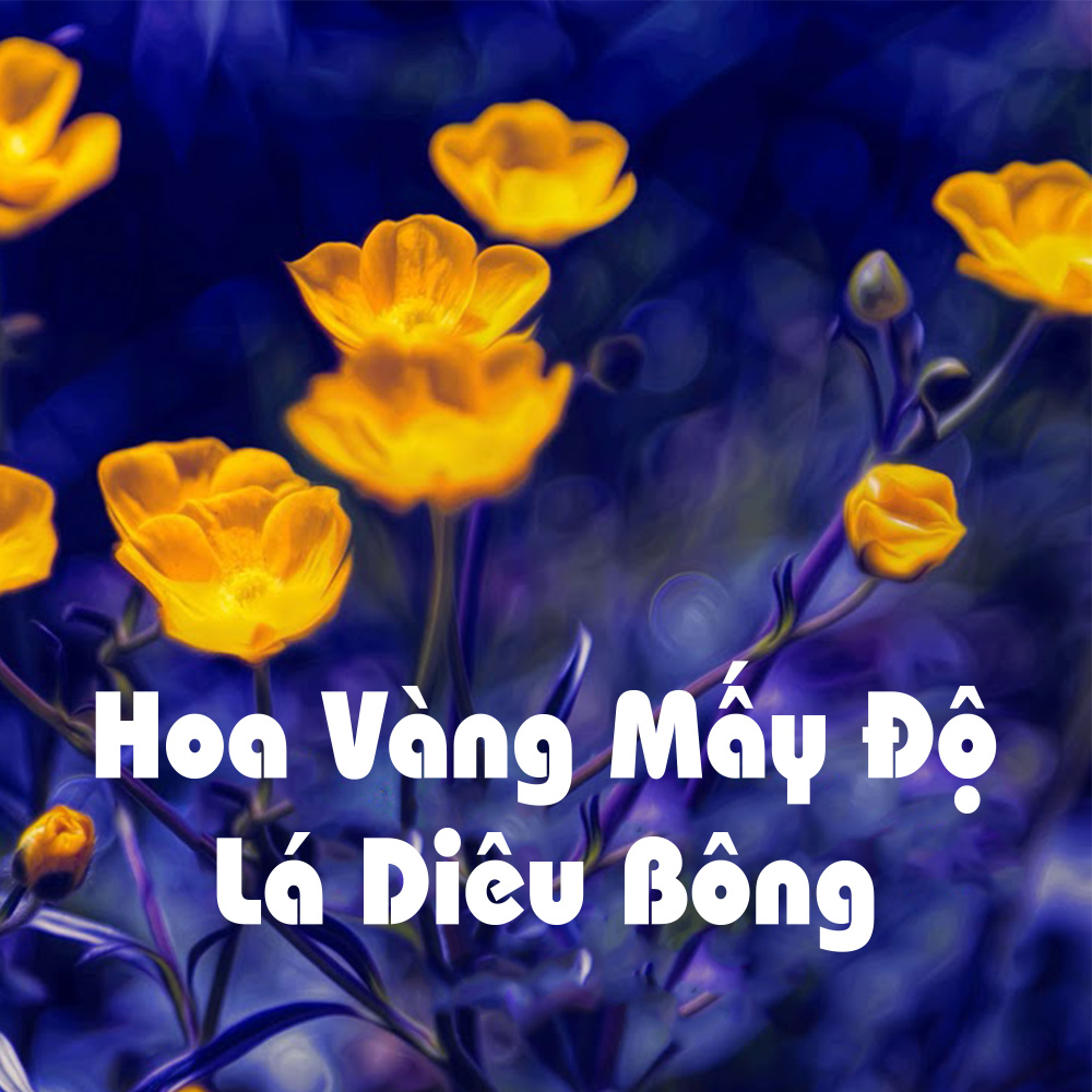 Như lá