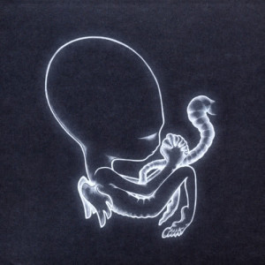 ดาวน์โหลดและฟังเพลง Flugufrelsarinn พร้อมเนื้อเพลงจาก Sigur Rós