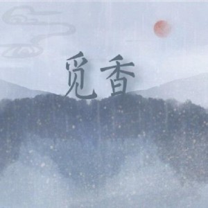 Album 披着治愈的皮，其实是深夜报社歌-翻唱 from 流筝