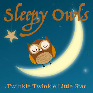 Dengarkan lagu Twinkle Twinkle Little Star nyanyian Sleepy Owls dengan lirik