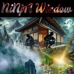 MadNeTex的專輯Ninja Window