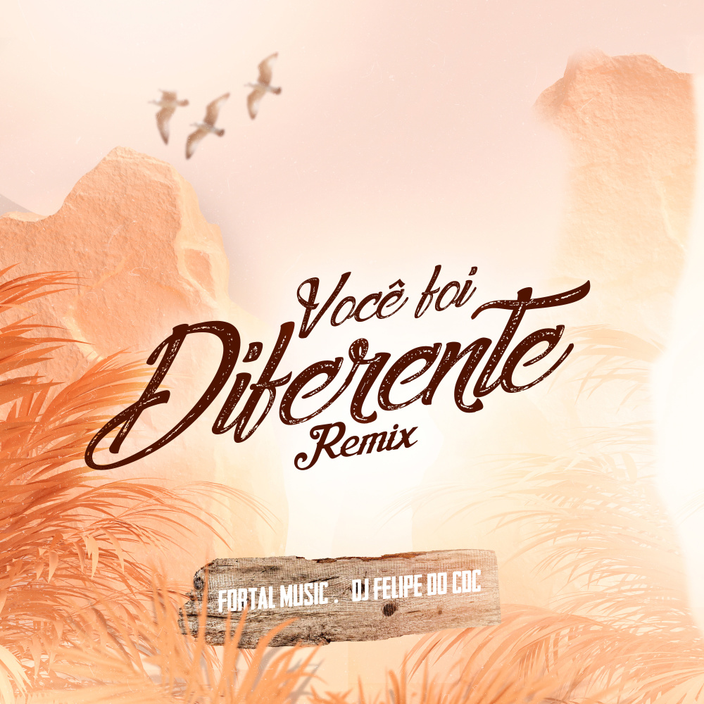 Você Foi Diferente (Remix)