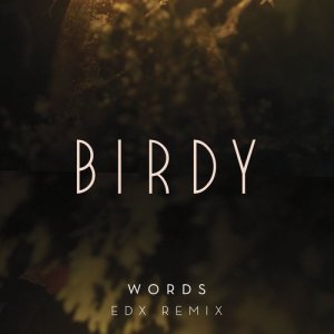 ดาวน์โหลดและฟังเพลง Words (EDX Remix) พร้อมเนื้อเพลงจาก Birdy