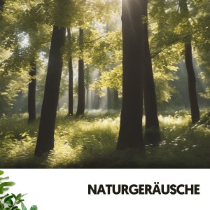 Sons De La Nature的專輯Sons Naturels et Bruit : Harmonie dans la Nature