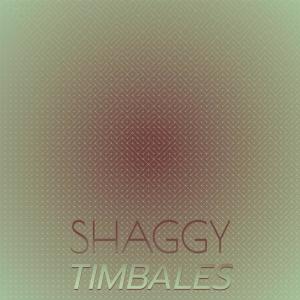 Listen to Shaggy Timbales song with lyrics from Eter Erek