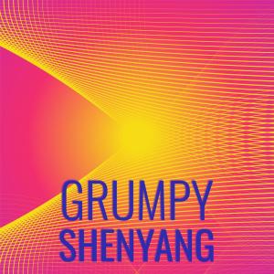 Listen to Grumpy Shenyang song with lyrics from Kuro Niall