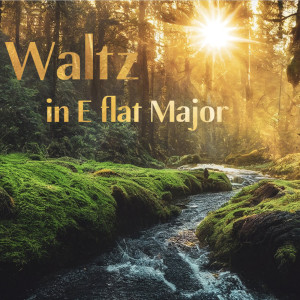 Listen to Waltz in E Flat Major song with lyrics from Matthew Hunt
