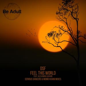 Listen to Feel This World (Momo Khani Remix) song with lyrics from DSF