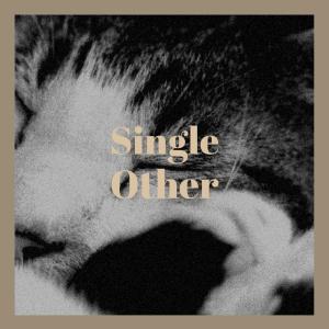 Album Single Other from Various