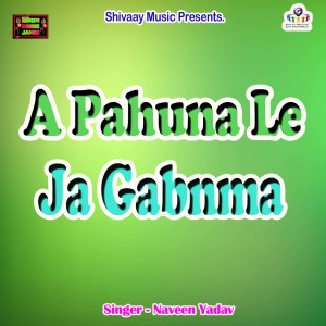 收聽Naveen Yadav的A Pahuna Le Ja Gabnma歌詞歌曲