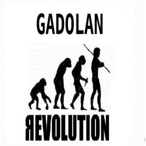 Album Revolution from Gadolan