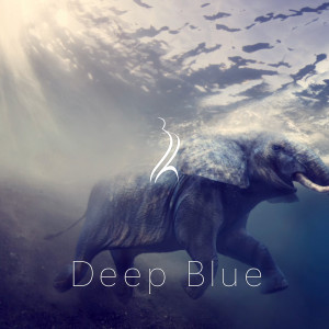 Listen to Deep Blue song with lyrics from Basil