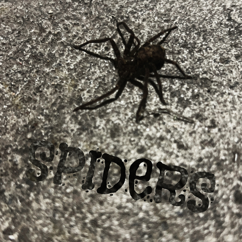 Spiders (Explicit)