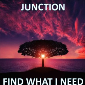Junction的專輯Find What I Need