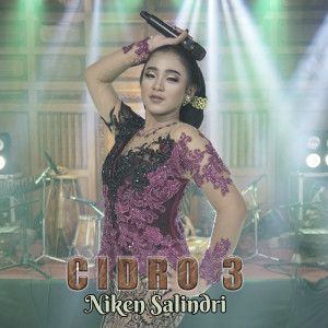 Dengarkan Cidro 3 lagu dari NIKEN SALINDRI dengan lirik