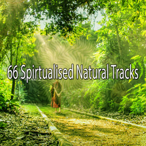 ดาวน์โหลดและฟังเพลง Resolve Problems พร้อมเนื้อเพลงจาก Massage Therapy Music