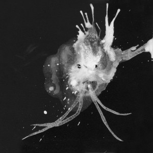 收聽Sigur Ros的64º08'43.3"N 21º55'38.8"W歌詞歌曲