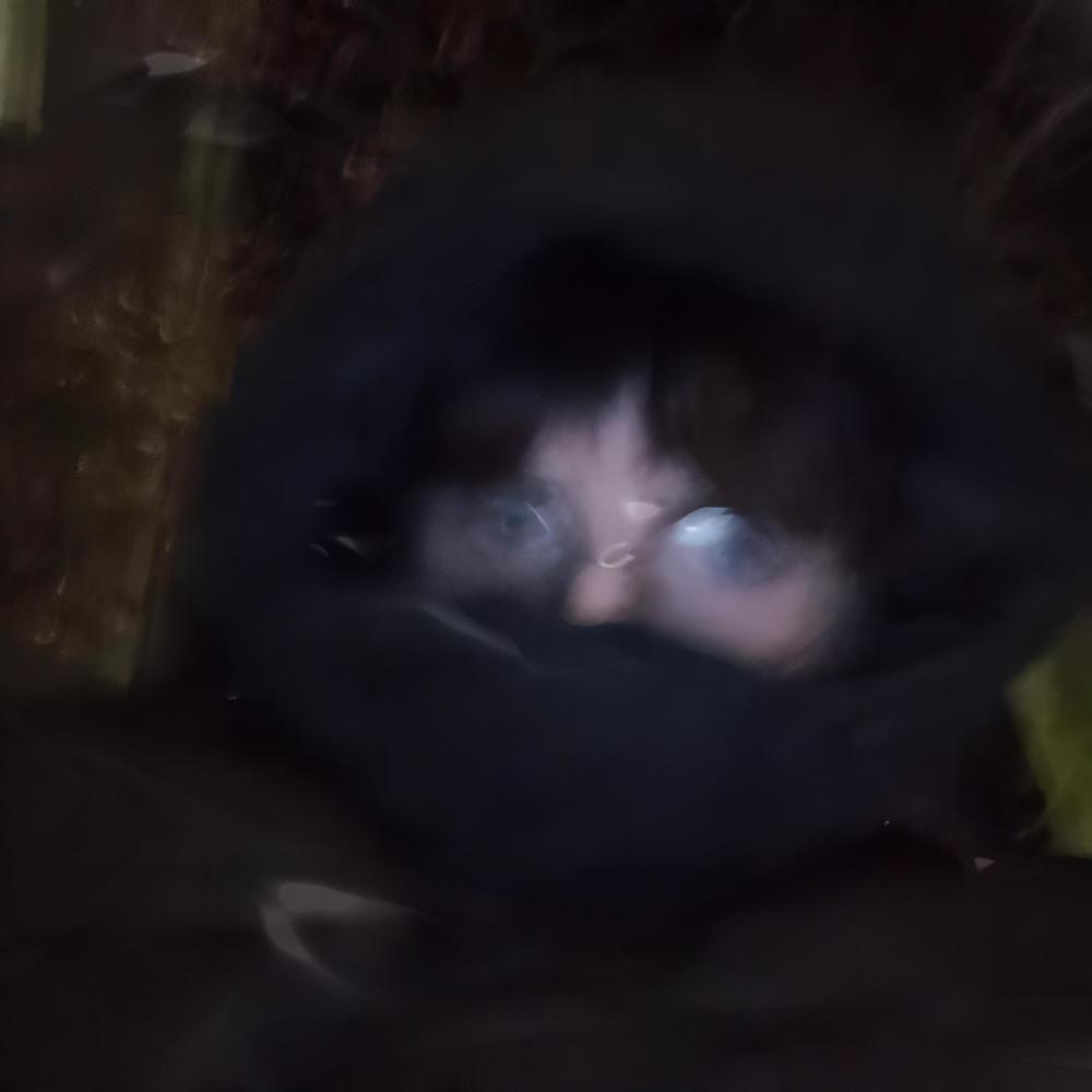Wenn ich sterb (Explicit)