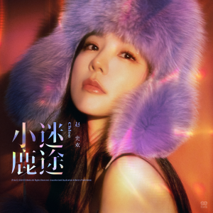 Listen to 迷途小鹿 (伴奏) song with lyrics from 赵奕欢