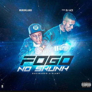 ดาวน์โหลดและฟังเพลง Fogo no Skunk Queimando-A-Blunt พร้อมเนื้อเพลงจาก RealDjAce