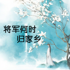 收聽沈甜的將軍何時歸家鄉歌詞歌曲