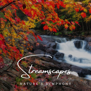 Flowing Streamscapes: Nature's Symphony (ASMR)