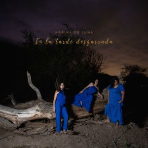 ดาวน์โหลดและฟังเพลง En la Tarde Desgarrada พร้อมเนื้อเพลงจาก Harina de luna
