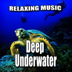 收聽Relaxing Music的Undersea Peace Music with Underwater Sounds歌詞歌曲
