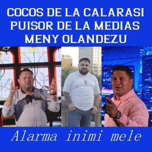 Album Alarma inimii mele oleh Puisor de la Medias