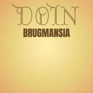 อัลบัม Doin Brugmansia ศิลปิน Various