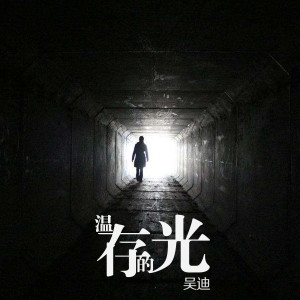 Listen to 温存的光 song with lyrics from 吴迪