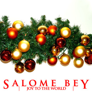 อัลบัม Joy To The World ศิลปิน Salome Bey