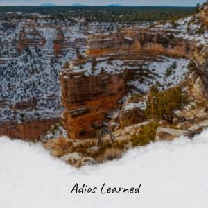 Listen to Accept Bone song with lyrics from Cous Alem
