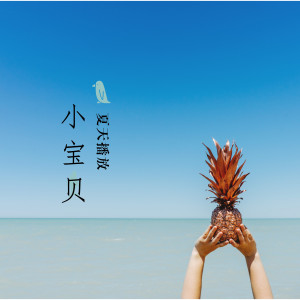 Listen to 小宝贝 song with lyrics from 夏天播放