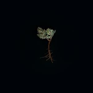 Listen to Hold my Hand song with lyrics from SPA