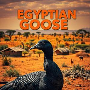 Ary Syba的專輯Egyptian Goose (feat. Teddy Genius) [Explicit]