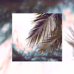Album The Shade of Palm oleh LOguitarist