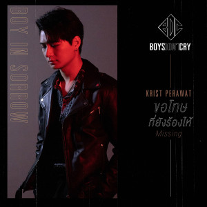 ขอโทษที่ยังร้องไห้ (Missing) / Boys Don't Cry - Single